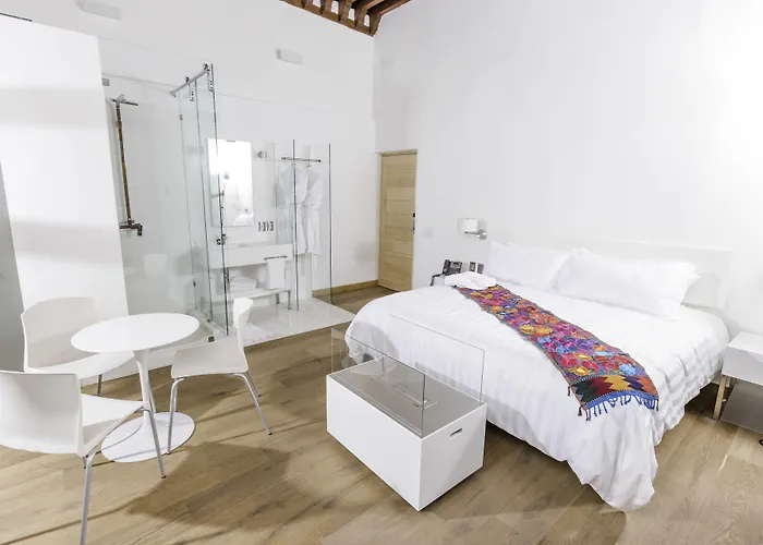 Hotel Domingo Santo Boutique (adults Only) Mexico City